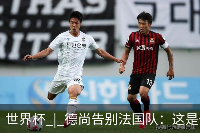 世界杯 | 德尚告别法国队：这是一段美好的旅程