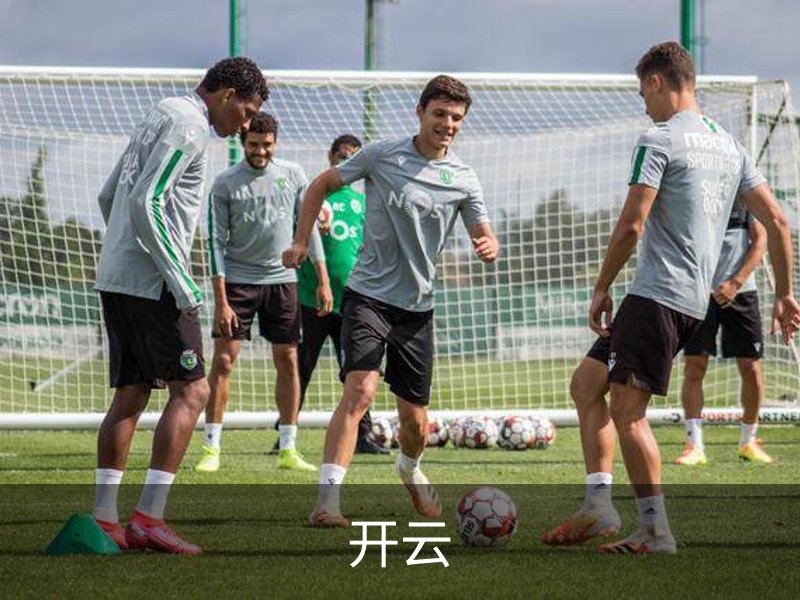 了解开云